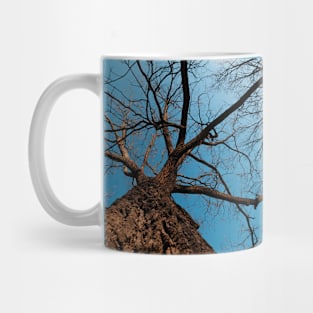 From a Squirrel's Perspective Mug